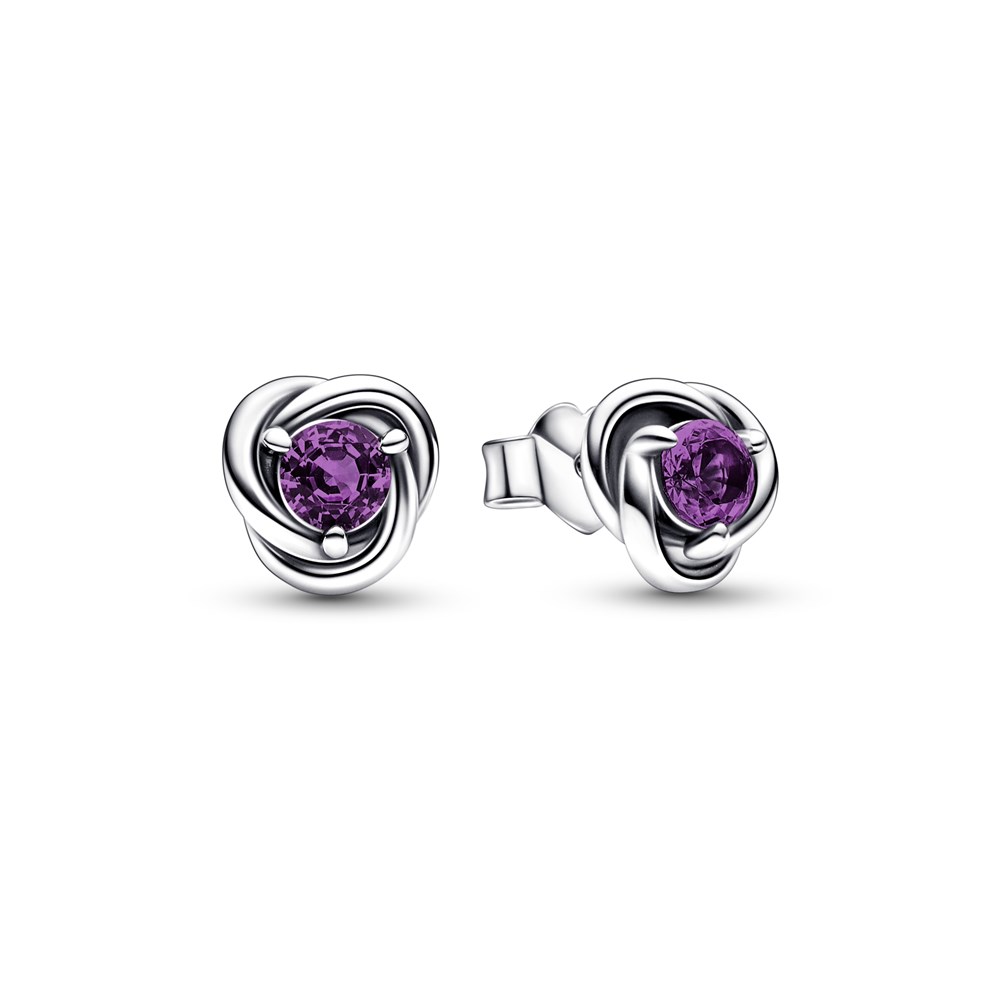 Pandora February Birthstone Eternity Circle Stud Earrings - Purple
